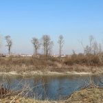 Il Fiume Tanaro e Asti sullo sfondo (foto L. Nosenzo)
